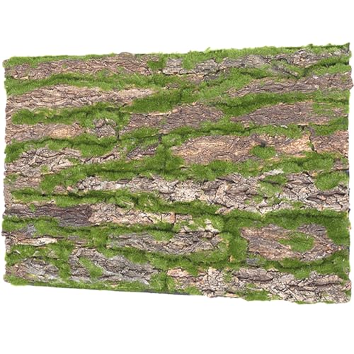 WOONEKY Reptilien Habitat Hintergrund Natürliche Korkrinde für Terrarium Klettermatte für Schildkröten und Reptilien Einfache Installation Natürliche WOONEKY Reptilien Habitat Hintergrund Natürliche Korkrinde für Terrarium Klettermatte für Schildkröten und Reptilien Einfache Installation Natürliche von WOONEKY