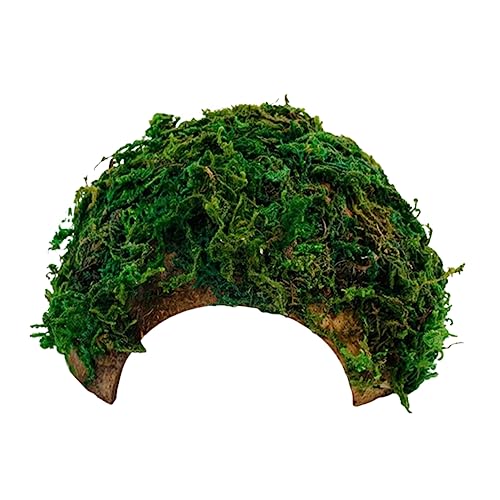 WOONEKY Reptilien Versteck Höhle für Hamster und Echsen Dekorative Zuflucht für Terrarien Sicheres Versteck aus Hochwertigem Material für Schildkröten Frösche und WOONEKY Reptilien Versteck Höhle für Hamster und Echsen Dekorative Zuflucht für Terrarien Sicheres Versteck aus Hochwertigem Material für Schildkröten Frösche und von WOONEKY