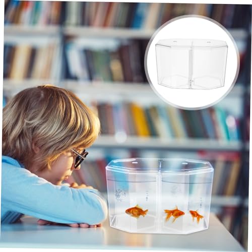 WOONEKY Transparente Fischzuchtbox mit Zwei Kammern und Abnehmbarem Trenner Isolationsbox für Kleine Fische Einfach Zu Reinigen Klare Sicht für Aquarien und Fischaufzucht WOONEKY Transparente Fischzuchtbox mit Zwei Kammern und Abnehmbarem Trenner Isolationsbox für Kleine Fische Einfach Zu Reinigen Klare Sicht für Aquarien und Fischaufzucht von WOONEKY