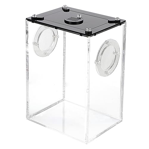 WOONEKY Transparente Reptilienbox aus Stabiles Terrarium für Schlangen Echsen Spinnen und Kleine Reptilien Geruchsneutral Langlebig Geeignet als Futter und Zuchtbox Vielseitig Einsetzbar WOONEKY Transparente Reptilienbox aus Stabiles Terrarium für Schlangen Echsen Spinnen und Kleine Reptilien Geruchsneutral Langlebig Geeignet als Futter und Zuchtbox Vielseitig Einsetzbar von WOONEKY