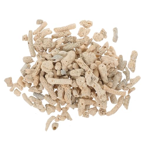 WOONEKY Zerkleinerte Korallen für Aquarien Hochporöses Filtermaterial zur Dekoration von Fischbecken für Zuhause und Büro Platzsparend und Anpassbar WOONEKY Zerkleinerte Korallen für Aquarien Hochporöses Filtermaterial zur Dekoration von Fischbecken für Zuhause und Büro Platzsparend und Anpassbar von WOONEKY