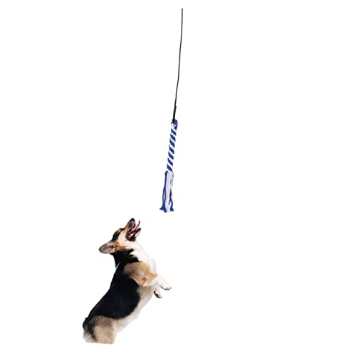 WOONEKY jagen Teaser interaktives Spielzeug Dog Toy Hund Teaser Zauberstab Robuste Hundeleine Werkzeug Haustiere ausziehbare Flirtstange Interaktives Welpenspielzeug großer Hund von WOONEKY