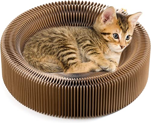 BLOSSOMLIFE Zusammenklappbares Katzenkratzbett Lounge Bett Katzenbett Karton Pet Scratcher Pad Rund Kratzbrett Nest von WOOTONG