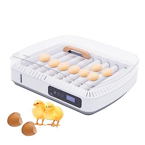 WOQLIBE Inkubator Brutautomat Vollautomatisch 35 Eier Autom Wendung Digitaler Geflügelbrüter Intelligent Temperatur Kontrolle Und Feuchtigkeitsanzeige Zum Huhn Ente Wachtel Vogel Heim Farm-Nutzung WOQLIBE Inkubator Brutautomat Vollautomatisch 35 Eier Autom Wendung Digitaler Geflügelbrüter Intelligent Temperatur Kontrolle Und Feuchtigkeitsanzeige Zum Huhn Ente Wachtel Vogel Heim Farm-Nutzung von WOQLIBE