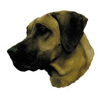 Großer Aufkleber, 2er Packung [Rhodesian Ridgeback] von WORLD STICKERS K.H.S.Dekal