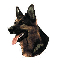 Großer Aufkleber, 2er Packung [Schäferhund, Kopf, klein] von WORLD STICKERS K.H.S.Dekal