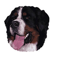 Kleine Aufkleber 4er Packung [Berner Sennenhund] von WORLD STICKERS K.H.S.Dekal