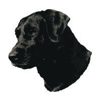 Kleine Aufkleber 4er Packung [Labrador] von WORLD STICKERS K.H.S.Dekal