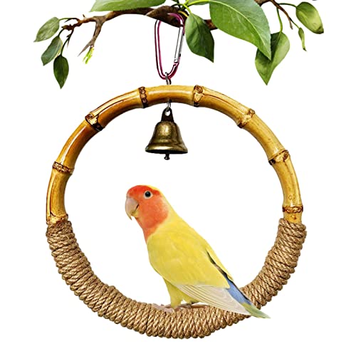 Papageien-Schaukelspielzeug, Vogelspielzeug | Papageienspielzeug, Vogelstangen mit Glocke für Papageien, Nymphensittiche, Sittiche von WOTEG