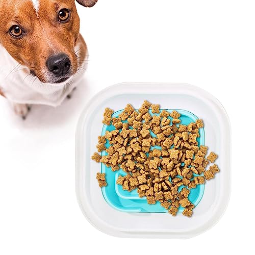 Verlangsamen Sie das Fressen von Hundenäpfen | Slow Feeder für Welpen,Welpen-Futternapf, Rutschfester Puzzle-Napf, lebensmittelechtes PP, verlangsamt das Fressen von Haustieren, verhindert Woteg von WOTEG