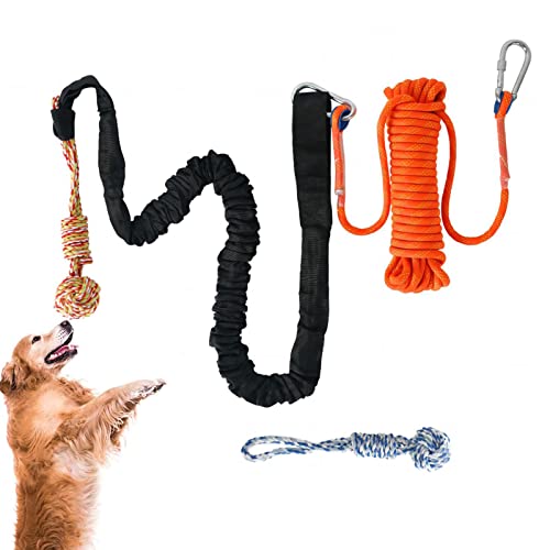 WOTEG Federstange für Hunde, Federseil Kauspielzeug für Hunde, bissfestes interaktives Hundeseilspielzeug für Outdoor Camping Indoor Spielen, kleine große Hunde von WOTEG