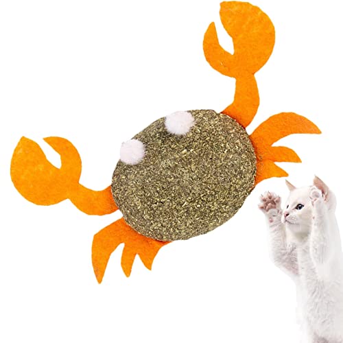 WOTEG Katzen-Kauspielzeug | langlebiges Silvervine Kauspielzeug, Katzenminze Ball Spielzeug, interaktives Katzenspielzeug für Indoor-Katzen, Kätzchenreinigung Zähne Molar Tools von WOTEG