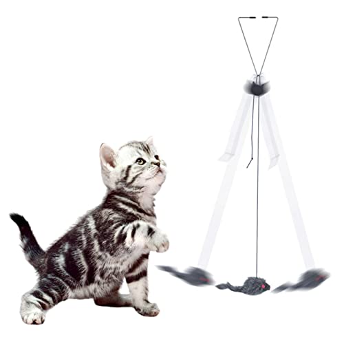 WOTEG Katzenspielzeug, Maus und Katzenspielzeug, interaktives Spielzeug zum Aufhängen, für Katzen im Innenbereich, zum Spielen mit elastischem Band, Übungen von WOTEG