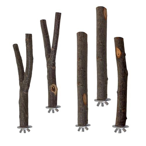 Set Von 5 Papageien Barsch Mahlen Zweigkratzer Barsch Vogelständer Käfig Spielzeugstange Rack Spielzeug Schleifen Barch Vorräte von WOURRD