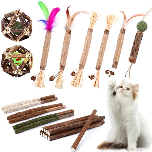 WOUSEDO - Katzenminze-Kauspielzeug für Katzen, 24 Stück, Silvervine Katzenspielzeug, Silvervine Natural Cat Sticks, Silvervine Natural WOUSEDO - Katzenminze-Kauspielzeug für Katzen, 24 Stück, Silvervine Katzenspielzeug, Silvervine Natural Cat Sticks, Silvervine Natural von WOUSEDO