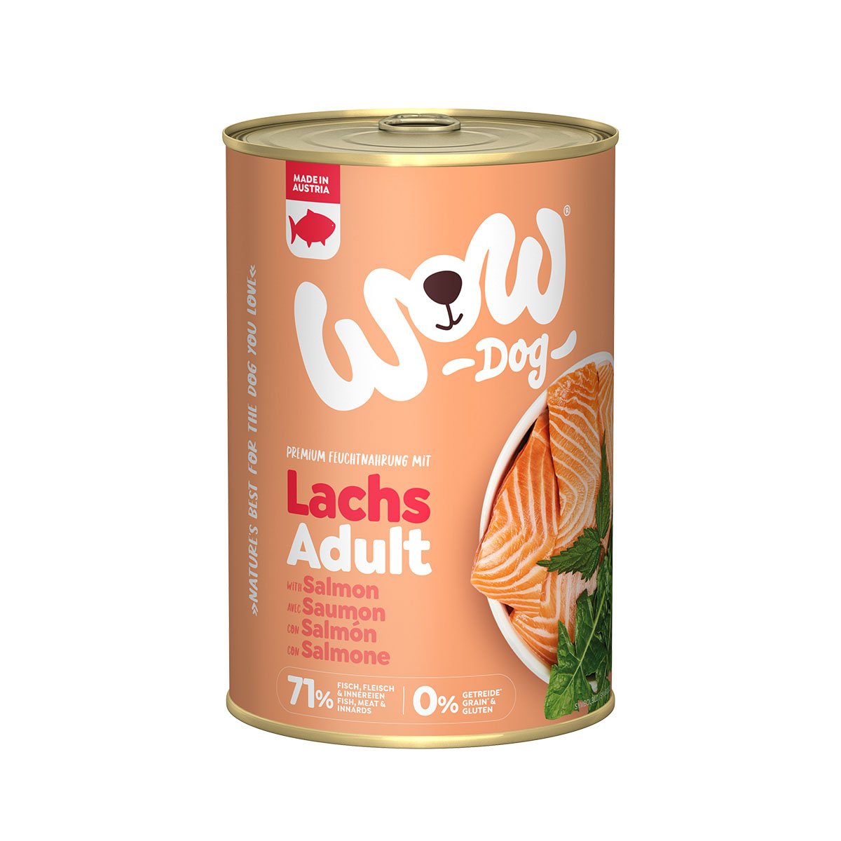 WOW Adult Lachs mit Löwenzahn und Brennnessel 6x400g von WOW!