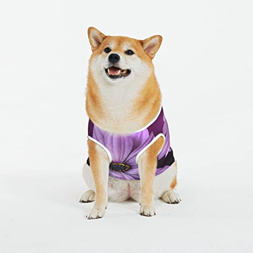 Lila Chrysantheme Gedruckt Hund Shirt Nette Haustier Kleidung Sommer Katze Kleidung Neuheit Katze Hund Weste Atmungsaktiv Lustige Hund Kleidung für Haustiere Hunde Katzen Lila Chrysantheme Gedruckt Hund Shirt Nette Haustier Kleidung Sommer Katze Kleidung Neuheit Katze Hund Weste Atmungsaktiv Lustige Hund Kleidung für Haustiere Hunde Katzen von WOWBED