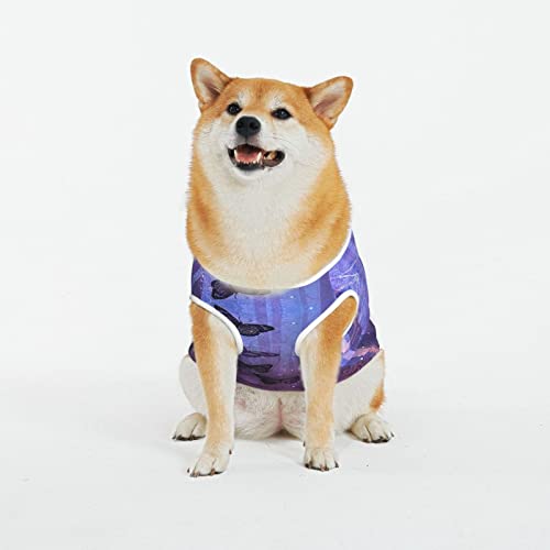 Lila Schmetterling Kunst Gedruckt Hund Shirt Nette Haustier Kleidung Sommer Katze Kleidung Neuheit Katze Hund Weste Atmungsaktiv Lustige Hund Kleidung für Haustiere Hunde Katzen Lila Schmetterling Kunst Gedruckt Hund Shirt Nette Haustier Kleidung Sommer Katze Kleidung Neuheit Katze Hund Weste Atmungsaktiv Lustige Hund Kleidung für Haustiere Hunde Katzen von WOWBED