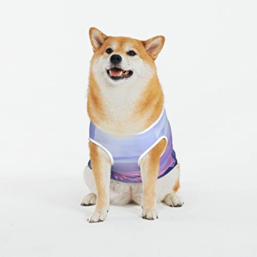 Mount Rainier Nationalpark bei Sonnenuntergang Bedrucktes Hundeshirt, niedliches Haustier-Kleidung, Sommer-Katzen-Kleidung, Neuheit, Katzen-Hundeweste, atmungsaktiv, lustige Hundekleidung für Mount Rainier Nationalpark bei Sonnenuntergang Bedrucktes Hundeshirt, niedliches Haustier-Kleidung, Sommer-Katzen-Kleidung, Neuheit, Katzen-Hundeweste, atmungsaktiv, lustige Hundekleidung für von WOWBED