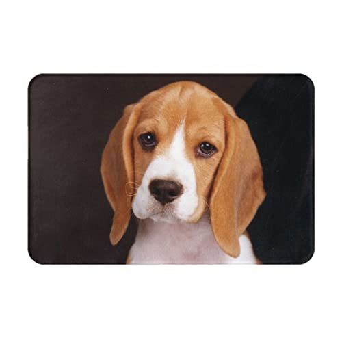 ovely Haustier-Fußmatte mit Beagle-Motiv, bedruckt, 40,6 x 61 cm, für den Innen- und Außenbereich, Eingangsbereich, Terrasse, Schlafzimmer von WOWBED