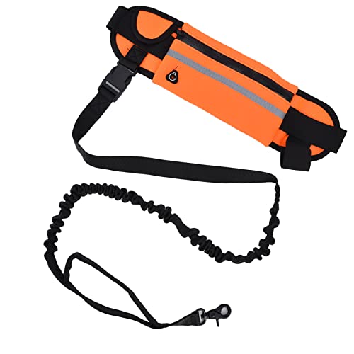 WPKD BLUEIY Hands Hundeleine, abnehmbare Reißverschlusstasche, reflektierendes Streifen-Design, flexible Taillenleine zum Gehen und Laufen, Orange, geeignet für alle Hundegrößen WPKD BLUEIY Hands Hundeleine, abnehmbare Reißverschlusstasche, reflektierendes Streifen-Design, flexible Taillenleine zum Gehen und Laufen, Orange, geeignet für alle Hundegrößen von WPKD BLUEIY