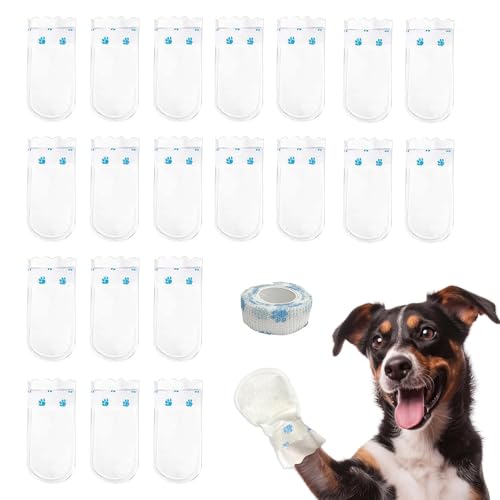 20 x Hundestiefel für verletzte Pfoten, wasserdicht, Hundesocken, Pfoten stoppen Lecken, Hundepfotenschutz, Hundeschuhe für verletzte Pfoten, Einweg-Hundesocken, für drinnen und draußen, Größe M 20 x Hundestiefel für verletzte Pfoten, wasserdicht, Hundesocken, Pfoten stoppen Lecken, Hundepfotenschutz, Hundeschuhe für verletzte Pfoten, Einweg-Hundesocken, für drinnen und draußen, Größe M von WQEDVN