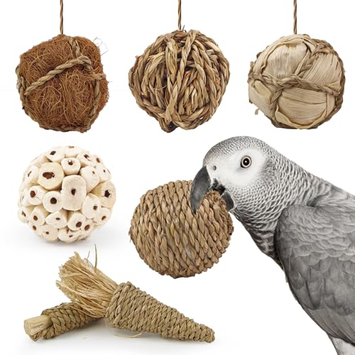 WQY GroceryShop Vogelspielzeug, große Kaubälle, natürliches weiches Kauspielzeug für Nymphensittiche, Quaker, Papageien, Wellensittiche, Sittiche, Kaninchen, Meerschweinchen, Chinchillas, 7 Stück WQY GroceryShop Vogelspielzeug, große Kaubälle, natürliches weiches Kauspielzeug für Nymphensittiche, Quaker, Papageien, Wellensittiche, Sittiche, Kaninchen, Meerschweinchen, Chinchillas, 7 Stück von WQY GroceryShop