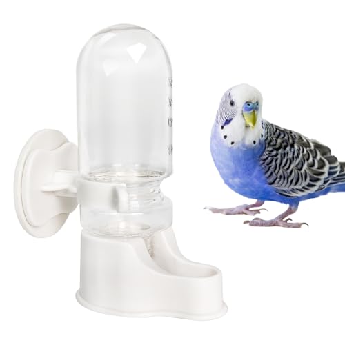 WQY Groceryshop Automatischer Vogel-Wasserspender, Haustier-Bewässerungsspender für Käfig, Vogelkäfig, hängender automatischer Haustier-Wasserspender, Papageien-Futterspender für Sittiche WQY Groceryshop Automatischer Vogel-Wasserspender, Haustier-Bewässerungsspender für Käfig, Vogelkäfig, hängender automatischer Haustier-Wasserspender, Papageien-Futterspender für Sittiche von WQY GroceryShop