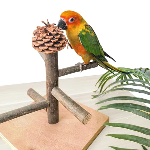 WQY Groceryshop Vogel-Sitzstange, tragbarer Tisch-Vogelspielständer, Papageien-Trainingsstange für Sittiche, Sittiche, Sittiche, Sittiche oder Nymphensittiche WQY Groceryshop Vogel-Sitzstange, tragbarer Tisch-Vogelspielständer, Papageien-Trainingsstange für Sittiche, Sittiche, Sittiche, Sittiche oder Nymphensittiche von WQY GroceryShop