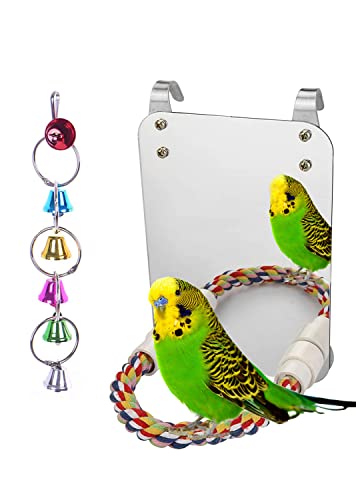 WREWING Vogelspielzeug – 17,8 cm Acryl-Spiegel mit bunter Seilsitzstange – ideal für Sittiche, Papageien und kleine bis mittelgroße Vögel WREWING Vogelspielzeug – 17,8 cm Acryl-Spiegel mit bunter Seilsitzstange – ideal für Sittiche, Papageien und kleine bis mittelgroße Vögel von WREWING