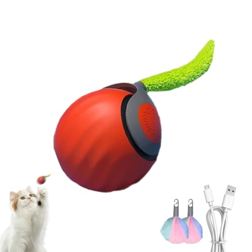WRQIOO Interaktiver Katzenball mit austauschbarem Schwanz, intelligenter interaktiver Haustierspielzeugball, 2 Geschwindigkeiten, wiederaufladbar, unregelmäßiges bewegliches Spielzeug für drinnen und WRQIOO Interaktiver Katzenball mit austauschbarem Schwanz, intelligenter interaktiver Haustierspielzeugball, 2 Geschwindigkeiten, wiederaufladbar, unregelmäßiges bewegliches Spielzeug für drinnen und von WRQIOO