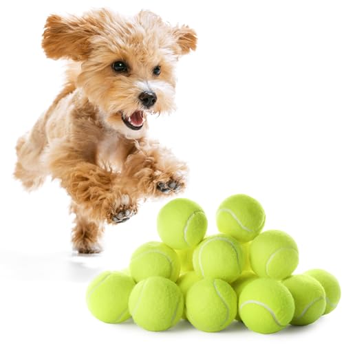 WRTZ Mini-Tennisbälle zum Apportieren von Haustieren, 5,1 cm, Hundetraining, Tennisbälle für kleine oder mittelgroße Hunde, interaktive Hundespielbälle, passend für 5,1 cm Hundeballwerfer, 12 Stück von WRTZ