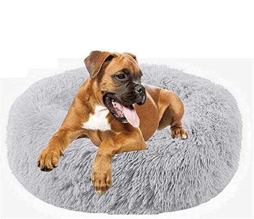WSGJHB Deluxe-haustierbett,Donut Cuddler Hundebett Hundekissen Für Hund Katzen,Selbstwärmende Runde Atmungsaktiv Flauschige Haustierbett Für Kleine,mittelgroße,große Hunde,LightGray,100cm(40inch) WSGJHB Deluxe-haustierbett,Donut Cuddler Hundebett Hundekissen Für Hund Katzen,Selbstwärmende Runde Atmungsaktiv Flauschige Haustierbett Für Kleine,mittelgroße,große Hunde,LightGray,100cm(40inch) von WSGJHB