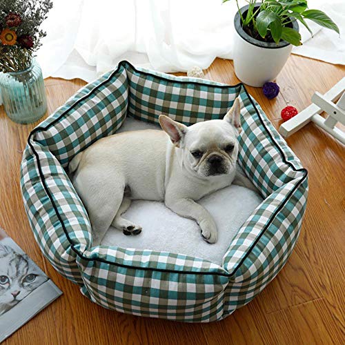 Four Seasons Universal Hundebett Haus Zwinger Waschbar Katzenbett Hundekorb Cartoon Teddy Schlafmatte Welpe Sofa Pad Haustierbedarf, C5, M Durchmesser 53cm Four Seasons Universal Hundebett Haus Zwinger Waschbar Katzenbett Hundekorb Cartoon Teddy Schlafmatte Welpe Sofa Pad Haustierbedarf, C5, M Durchmesser 53cm von WTMLK