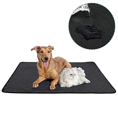 Paw Print Hund Katze Wurf Matte Welpe Kitty Dish Futterschale Tischset Tablett Ordentlich Leicht zu reinigen Isomatte, 18x24 Zoll Paw Print Hund Katze Wurf Matte Welpe Kitty Dish Futterschale Tischset Tablett Ordentlich Leicht zu reinigen Isomatte, 18x24 Zoll von WTMLK