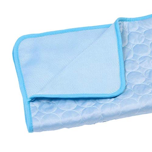 WTMLK Pet Cooling Mat Selbstkühlendes Pad Druckaktivierter Komfortkühler Ungiftige Gelmatte für Hunde Katzen für Außenbetten, Silber, XXL 150X100 WTMLK Pet Cooling Mat Selbstkühlendes Pad Druckaktivierter Komfortkühler Ungiftige Gelmatte für Hunde Katzen für Außenbetten, Silber, XXL 150X100 von WTMLK