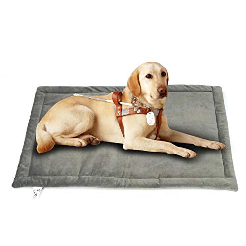 Zwinger Baumwolltuch Nest für kleine mittlere Hunde Weiche Hundekissen Warme Winter Haustier Welpen Katzen Bett Sofa Hundematte Haustierzubehör, Grau, 89x58cm Zwinger Baumwolltuch Nest für kleine mittlere Hunde Weiche Hundekissen Warme Winter Haustier Welpen Katzen Bett Sofa Hundematte Haustierzubehör, Grau, 89x58cm von WTMLK