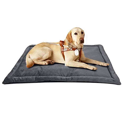Zwinger Baumwolltuch Nest für kleine mittlere Hunde Weiche Hundekissen Warme Winter Haustier Welpen Katzen Bett Sofa Hundematte Haustierzubehör, Schwarz, 89x58cm Zwinger Baumwolltuch Nest für kleine mittlere Hunde Weiche Hundekissen Warme Winter Haustier Welpen Katzen Bett Sofa Hundematte Haustierzubehör, Schwarz, 89x58cm von WTMLK