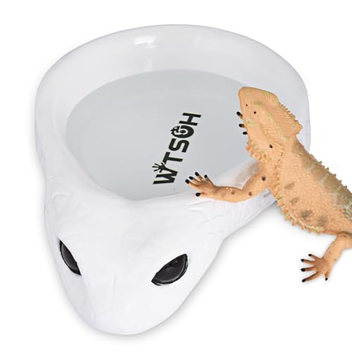WTSOH Reptilien-Wasserschale - Schlangen-Wassernapf, Gecko-Futterbecher, Gecko-Futterschale, Schildkröten-Futterschale, stabiles Harzdesign für kleine Reptilien, perfekt für Terrarien und Gehege WTSOH Reptilien-Wasserschale - Schlangen-Wassernapf, Gecko-Futterbecher, Gecko-Futterschale, Schildkröten-Futterschale, stabiles Harzdesign für kleine Reptilien, perfekt für Terrarien und Gehege von WTSOH