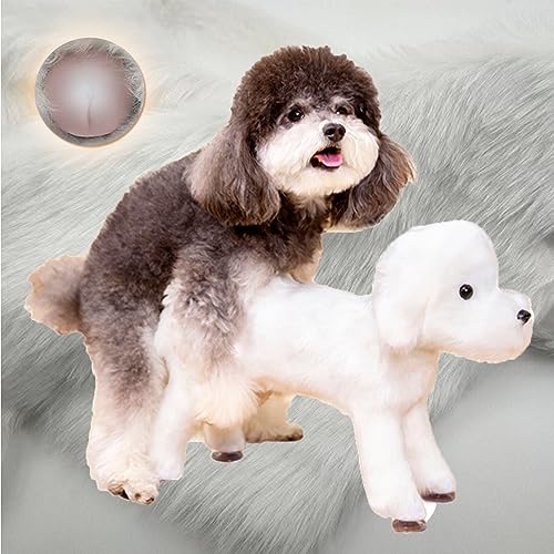 Weißes Haustier-Hunde-Plüschspielzeug, Hunde-Entlastungsspielzeug für Brunst-Hunde, Hunde-Schlafspielzeug mit abnehmbarem Kanal, Chihuahua-Welpen-Hunde-Schnuller,13cm/5.1" von WTTTTW