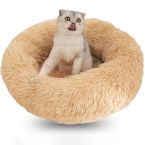 WTZHHK Hundekissen Rund Hundebetten Katzenbett Flauschig Bequem Waschbar für Katzen und Hunde Katzenkorb (Color : Beige, Size : 15.7" 40cm) von WTZHHK