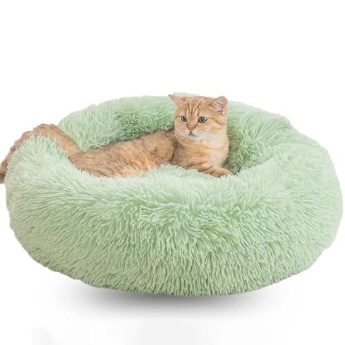 WTZHHK Hundekissen Rund Hundebetten Katzenbett Flauschig Bequem Waschbar für Katzen und Hunde Katzenkorb (Color : Green, Size : 23.5" 60cm) von WTZHHK