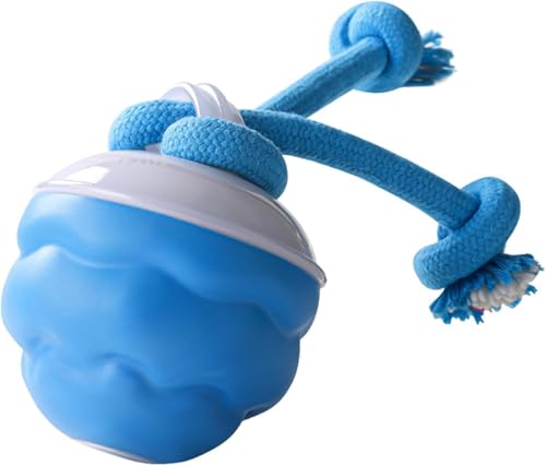 WTZOWEY Power Tail 2.0 Dog Toy,Barkzys 2025 Upgrade Interactive Toy,USB Rechargeable Motion Activate Rolling Ball for Puppy/Small WTZOWEY Power Tail 2.0 Dog Toy,Barkzys 2025 Upgrade Interactive Toy,USB Rechargeable Motion Activate Rolling Ball for Puppy/Small von WTZOWEY