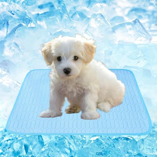 WUDEUI Kühlmatte für Hunde, Eisseide, Haustier-Kühlkissen für den Sommer, waschbar, kühles Katzenbett für drinnen und draußen, Zwinger, Kisten, Autositze (blau, 61 x 50 cm) von WUDEUI
