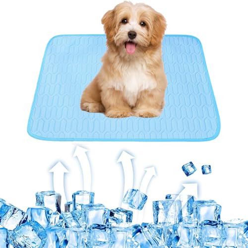 WUDEUI Kühlmatte für Hunde, Eisseide, Haustier-Kühlkissen für den Sommer, waschbar, kühles Katzenbett für drinnen und draußen, Zwinger, Kisten, Autositze (blau, 62 x 50 cm) von WUDEUI