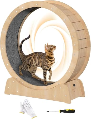 WUDLEP 97.8 cm Katzenlaufband, Katzen-Trainingsrad für Innen, Fitness Gewichtsverlust, Katzen Laufrad mit Teppichboden Landebahn, Fitnessgeräte, Holz Katzen Rad von WUDLEP