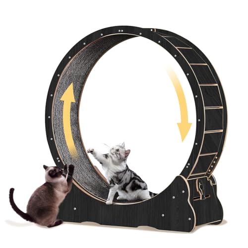 WUDLEP Katzen-Laufrad für Indoor-Katze, 101,6 cm großes Katzenlaufrad mit Teppichlaufbahn, Katzenlaufband für längere Lebensdauer, Katzenrad für Fitness-Gewichtsverlust-Gerät, Schwarz WUDLEP Katzen-Laufrad für Indoor-Katze, 101,6 cm großes Katzenlaufrad mit Teppichlaufbahn, Katzenlaufband für längere Lebensdauer, Katzenrad für Fitness-Gewichtsverlust-Gerät, Schwarz von WUDLEP