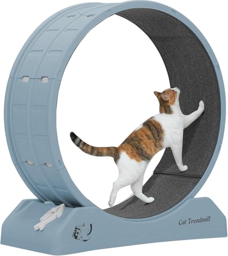 WUDLEP Katzen-Trainingsrad, 31,5 Zoll Katzenlaufband für Indoor-Katzen, Laufrad mit Teppichlaufbahn, einfach zu installieren & Fitness & Gesundheit, geeignet für die meisten Katzen, Kunststoffrad von WUDLEP