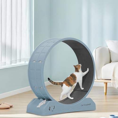 WUDLEP Katzen-Trainingsrad, 31,5 Zoll Katzenlaufband für Indoor-Katzen, Laufrad mit Teppichlaufbahn, einfach zu installieren & Fitness & Gesundheit, geeignet für die meisten Katzen, Kunststoffrad WUDLEP Katzen-Trainingsrad, 31,5 Zoll Katzenlaufband für Indoor-Katzen, Laufrad mit Teppichlaufbahn, einfach zu installieren & Fitness & Gesundheit, geeignet für die meisten Katzen, Kunststoffrad von WUDLEP
