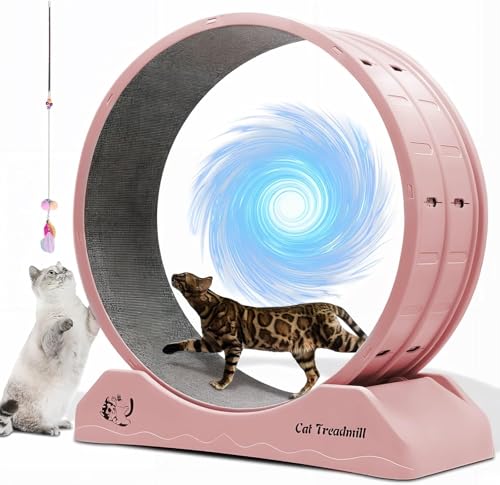 WUDLEP Katzen-Trainingsrad, 31,5 Zoll Katzenlaufband für Indoor-Katzen, Laufrad mit Teppichlaufbahn, einfach zu installieren & Fitness & Gesundheit, geeignet für die meisten Katzen, Kunststoffrad WUDLEP Katzen-Trainingsrad, 31,5 Zoll Katzenlaufband für Indoor-Katzen, Laufrad mit Teppichlaufbahn, einfach zu installieren & Fitness & Gesundheit, geeignet für die meisten Katzen, Kunststoffrad von WUDLEP